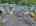 Blurred preview of media: DJI_20260616121458_0952_D_3_D_4_D_easyHDR
