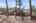 Blurred preview of media: 1E0A3830 copy