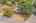 Blurred preview of media: 5500MeadowOakSt-43