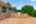 Blurred preview of media: 12430 Gentle Ben-57