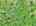 Blurred preview of media: DJI_20260527103551_0017_D_8_D_9_D_easyHDR