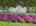 Blurred preview of media: 81-bracken-hill-road-hamburg-nj-usa-050