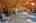 Blurred preview of media: IMG_1981_2_3
