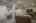 Blurred preview of media: IMG_8899.2