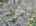Blurred preview of media: DJI_20260424125900_0693_D_4_D_5_D_easyHDR