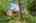 Blurred preview of media: 1-31