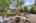 Blurred preview of media: 1-34