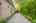 Blurred preview of media: 64 Ravina Cres, Ancaster _ Nathan Ferro129