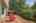 Blurred preview of media: 260159-30a