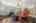 Blurred preview of media: 396 W Elm Str 00018