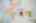 Blurred preview of media: 4376 (80 - 83)