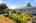 Blurred preview of media: 1-39
