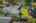 Blurred preview of media: Aerial 05