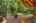 Blurred preview of media: 1-53