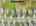Blurred preview of media: 3-926--2