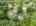 Blurred preview of media: 94 Central Street Andover Massachusetts Job 40242 0075