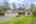 Blurred preview of media: PAX_0820