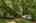 Blurred preview of media: 1-16