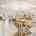 Blurred preview of media: 029-2700-N-Beach-Rd-A105-29-web