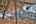 Blurred preview of media: IMG_0701_2_3_easyHDR