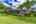 Blurred preview of media: iPixx_00_15
