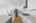 Blurred preview of media: DSC09415
