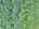 Blurred preview of media: DJI_20260829114744_0155_D_6_D_7_D_easyHDR