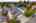 Blurred preview of media: 1-58