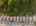 Blurred preview of media: h_miltonfinals-49