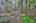 Blurred preview of media: IMG_4742_3_4_easyHDR