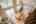 Blurred preview of media: PAX_0595