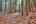 Blurred preview of media: IMG_0650_1_2_easyHDR