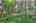 Blurred preview of media: IMG_4604_5_6_easyHDR