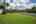 Blurred preview of media: Ground 7