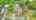 Blurred preview of media: DJI_0519-2