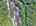 Blurred preview of media: 9zzzzl