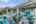 Blurred preview of media: 1F3A5257