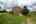 Blurred preview of media: A-23