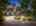 Blurred preview of media: 2-726-