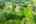 Blurred preview of media: DJI_0925 copy 2