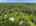 Blurred preview of media: 198 Borden Rd (2)