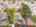 Blurred preview of media: 80-print-DJI_20260527045950_0973_D