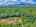 Blurred preview of media: DJI_20260609113543_0653_D_4_D_5_D_easyHDR