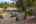 Blurred preview of media: 1-41