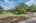 Blurred preview of media: 214SilentSpring-60