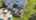 Blurred preview of media: 4_Randolph_Ct_0049