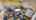 Blurred preview of media: Gateway-Head-Start-05262017_074005