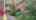 Blurred preview of media: IMG_0405