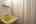 Blurred preview of media: IMG_3068