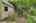 Blurred preview of media: 260204-28a